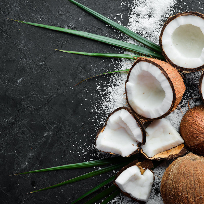 Fresh coconuts, including halved coconuts showing white coconut flesh, whole coconuts, white sea salt, and green palm leaves arranged on a dark textured background with negative space on the left.